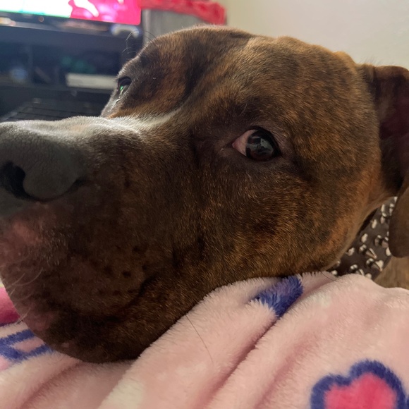 Meet your Posher, Jackelyne - Picture 1 of 1